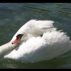 20050805_010